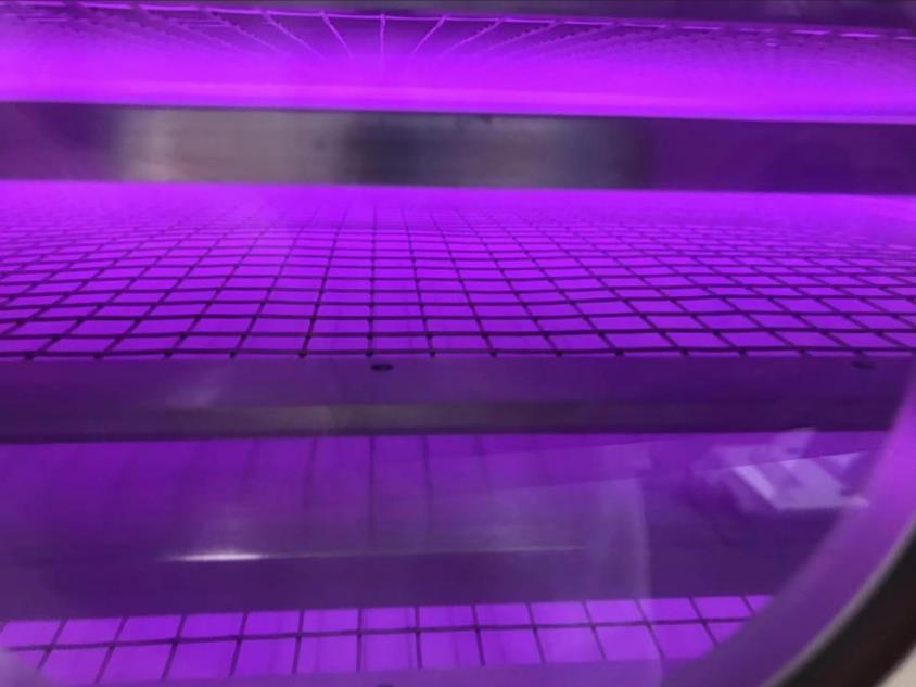 日皮视频APP在线看黄机