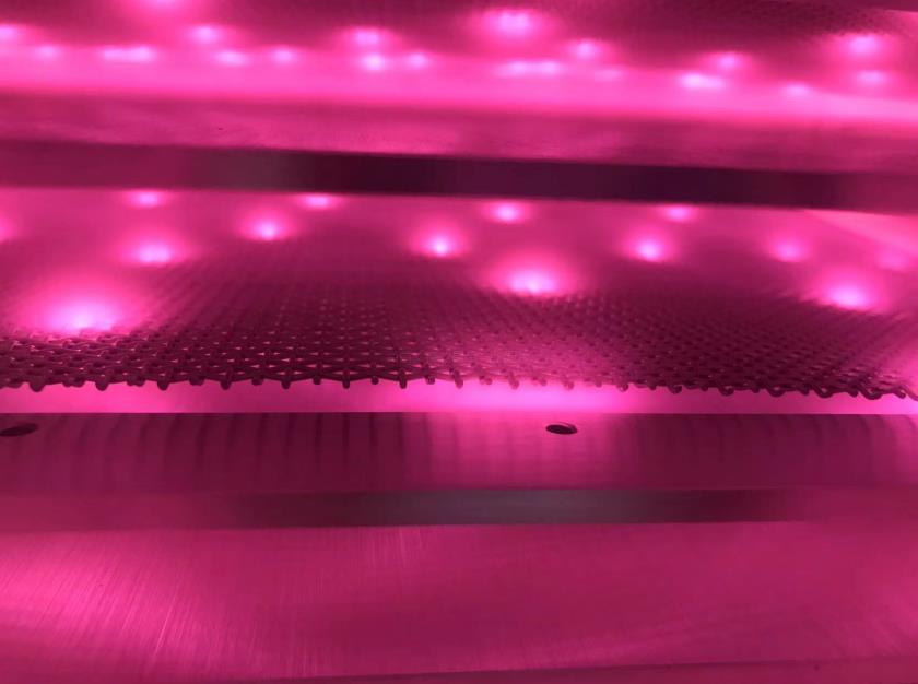 晶圆日皮视频APP在线看黄机