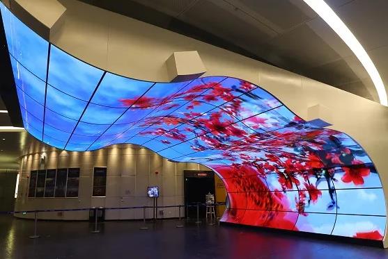 日皮视频APP在线看黄机