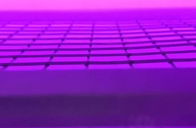 日皮视频APP在线看黄机