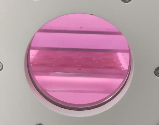 真空日皮视频APP在线看黄机