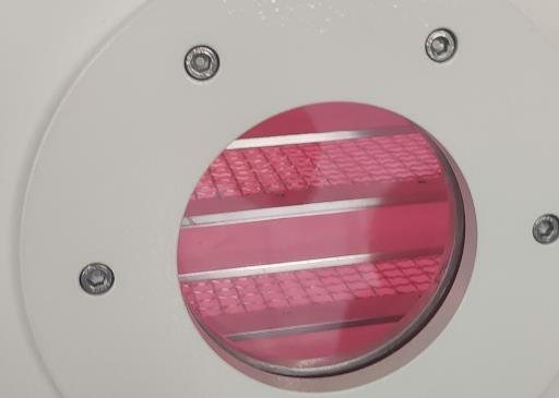 真空日皮视频APP在线看黄机