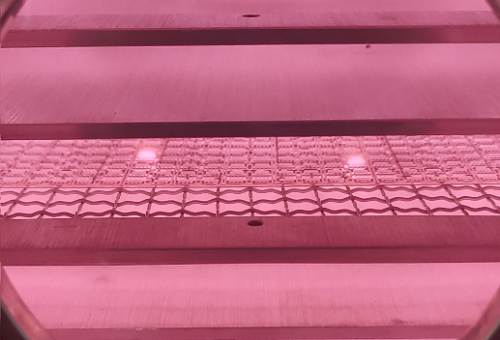 plasma日皮视频APP在线看黄设备