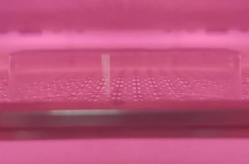 大气日皮视频APP在线看黄机