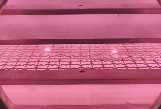 日皮视频APP下载安装