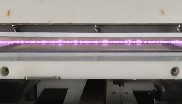 在线日皮视频APP在线看黄