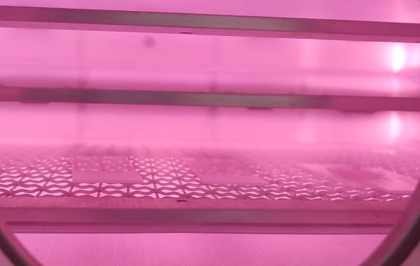 Plasma日皮视频APP在线看黄机