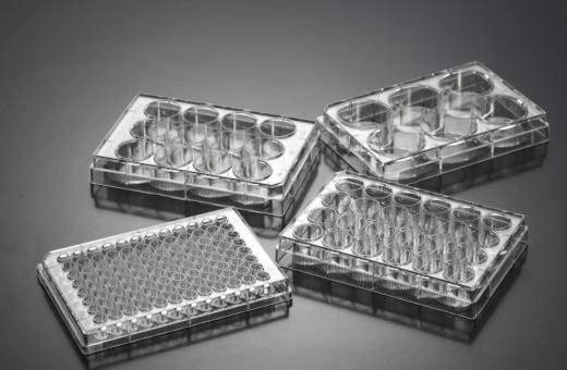 低温日皮视频APP下载安装酶标板