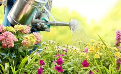 恩师所至，师恩所存-日皮视频免费看软件等离子