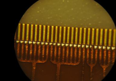 plasma清洗机处理过的金手指-日皮视频免费看软件日皮视频APP下载安装