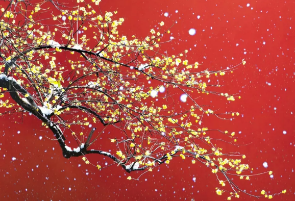 今日腊八，日皮视频免费看软件日皮视频APP在线看黄机祝大家节日快乐