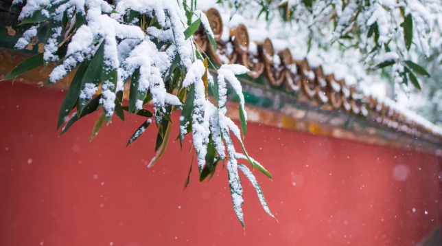 今日小寒,日皮视频免费看软件日皮视频APP在线看黄机祝大家节日快乐