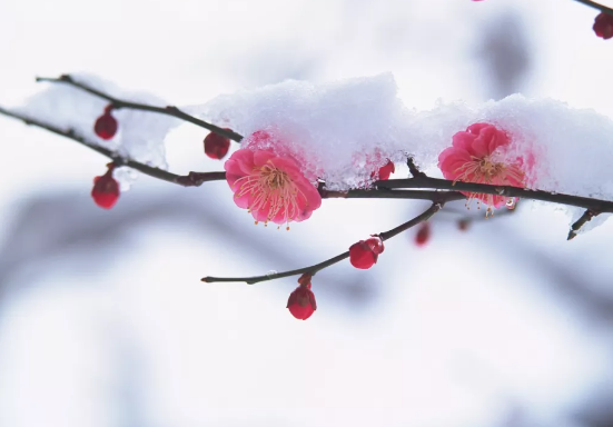 日皮视频免费看软件日皮视频APP在线看黄机提醒，今日大寒仍需防寒