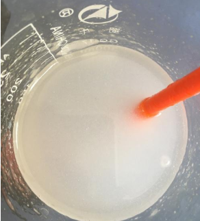 低温等离子处理技术制备变性淀粉-日皮视频免费看软件日皮视频APP下载安装机