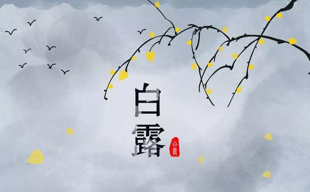 今迎白露，盛夏退场-日皮视频免费看软件日皮视频APP在线看黄机