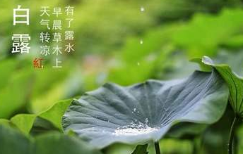 今迎白露，盛夏退场-日皮视频免费看软件日皮视频APP在线看黄机