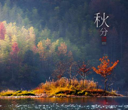 2020秋分-日皮视频免费看软件日皮视频APP在线看黄机