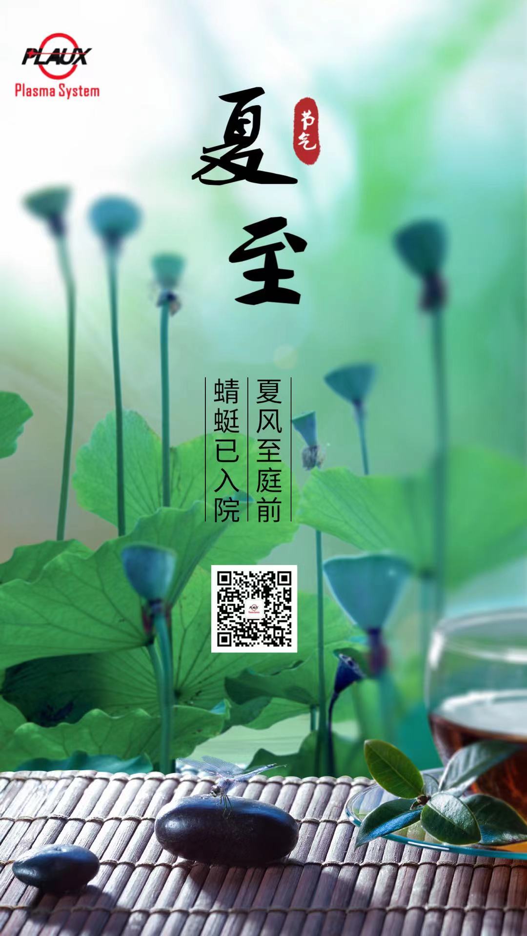 日皮视频免费看软件